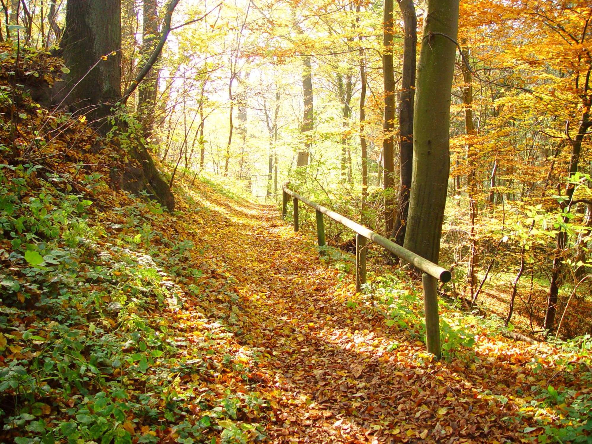 Klostergasthof Roggenburg Kültér fotó