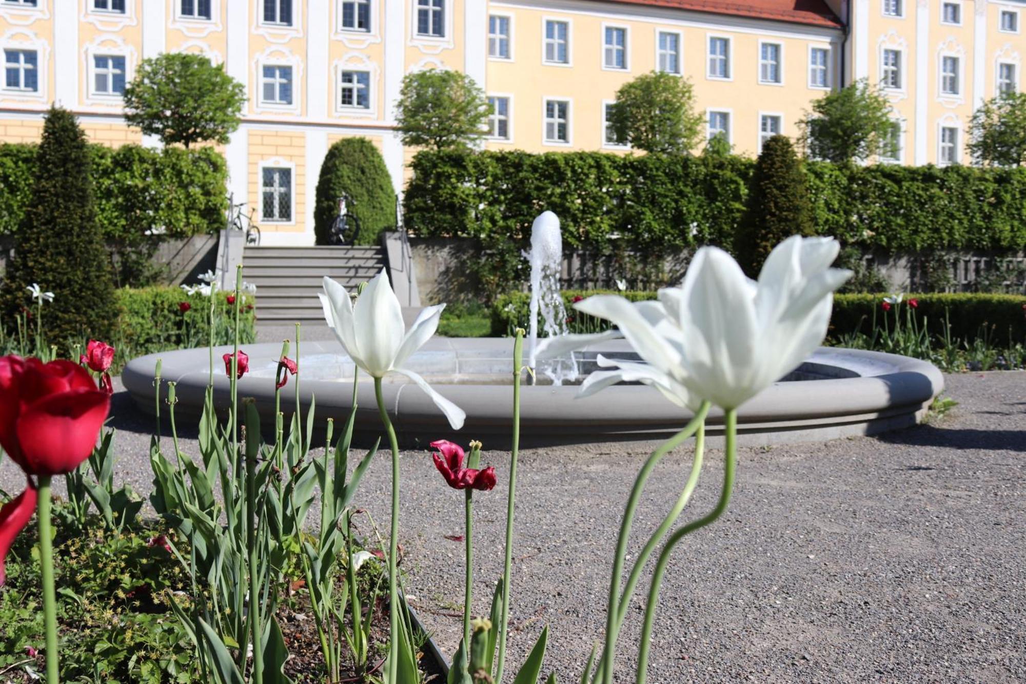 Klostergasthof Roggenburg Kültér fotó