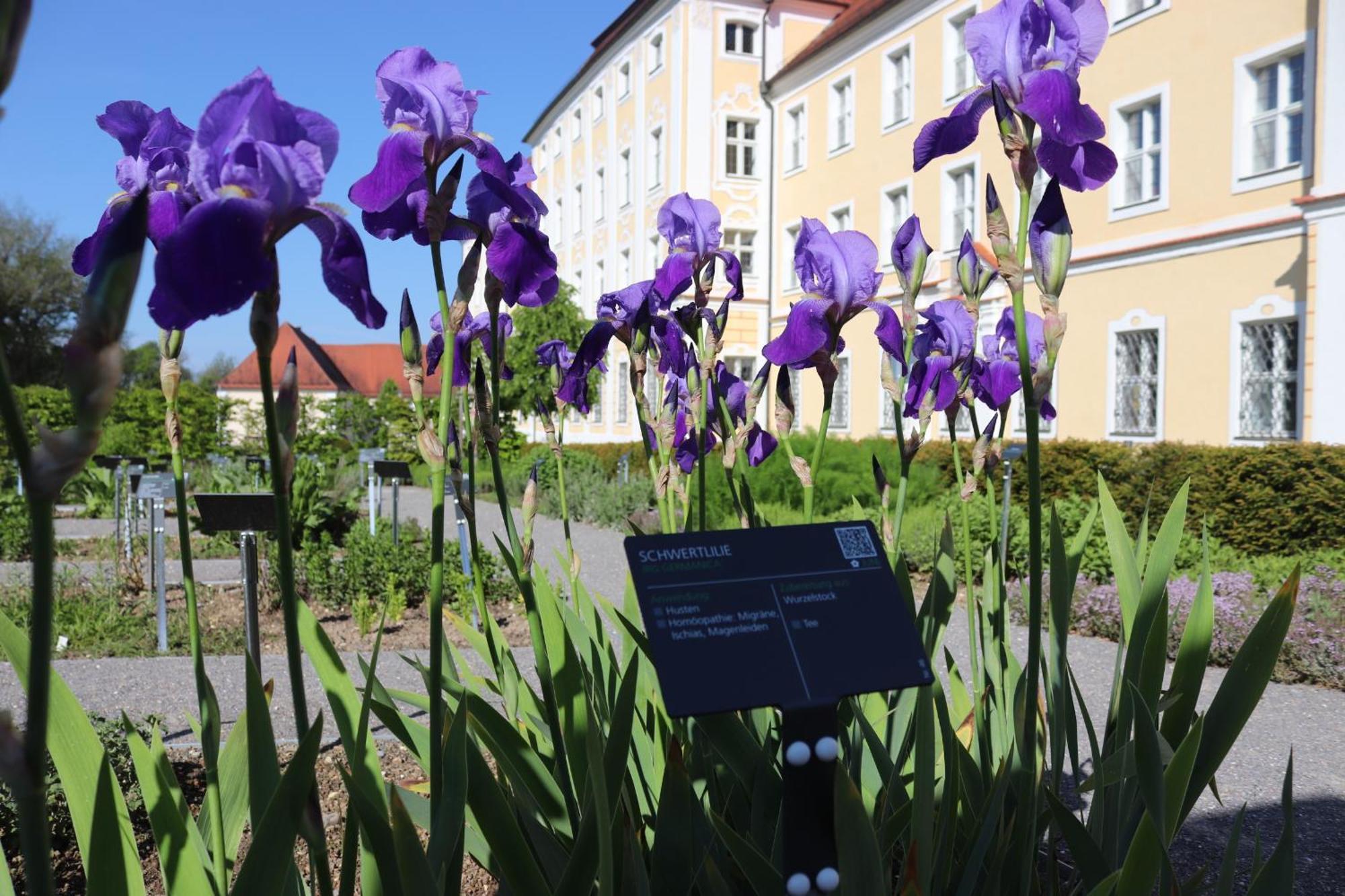 Klostergasthof Roggenburg Kültér fotó