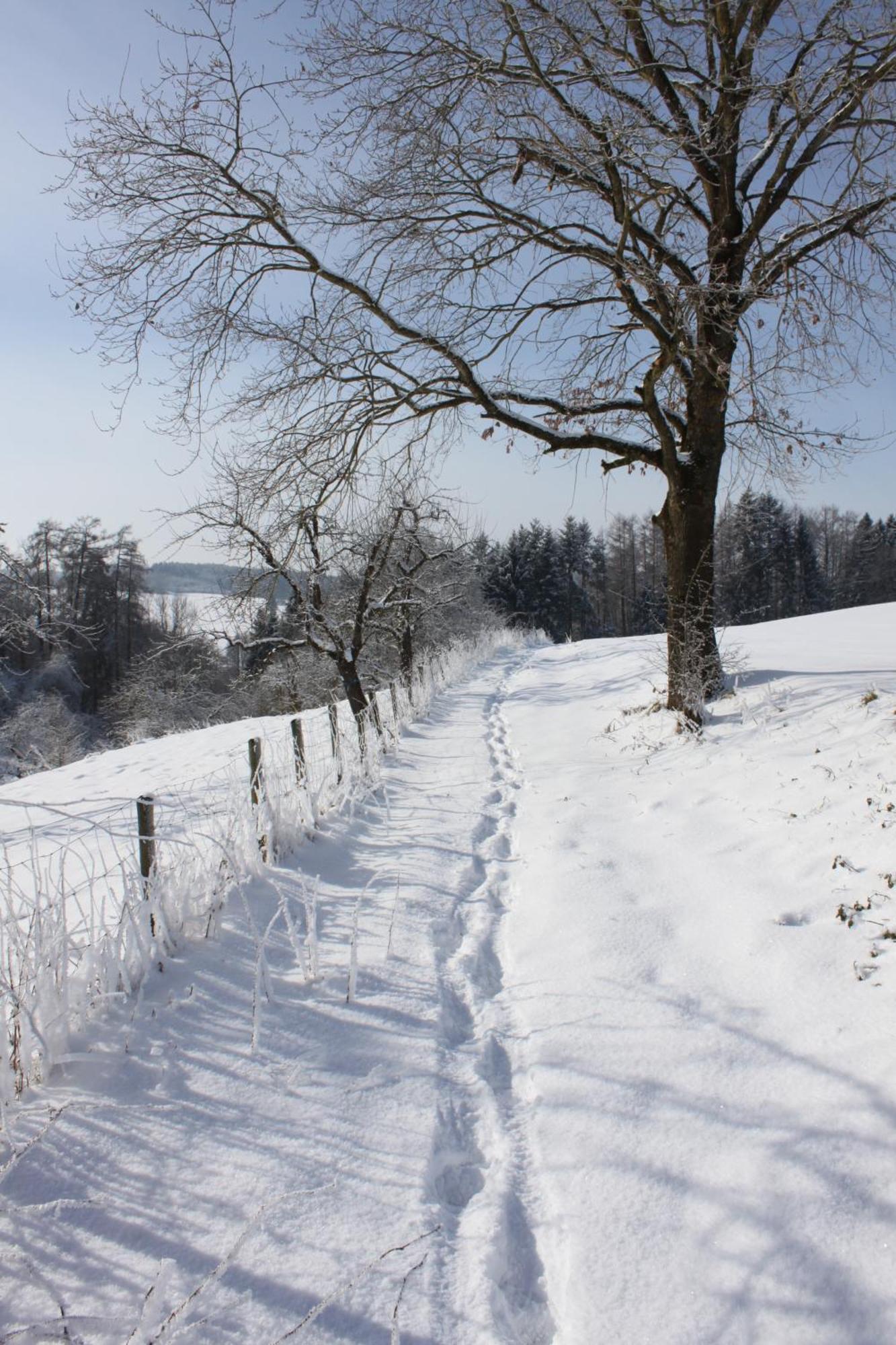 Klostergasthof Roggenburg Kültér fotó